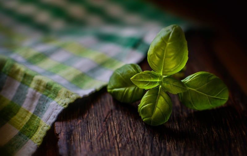 Magical Herbs